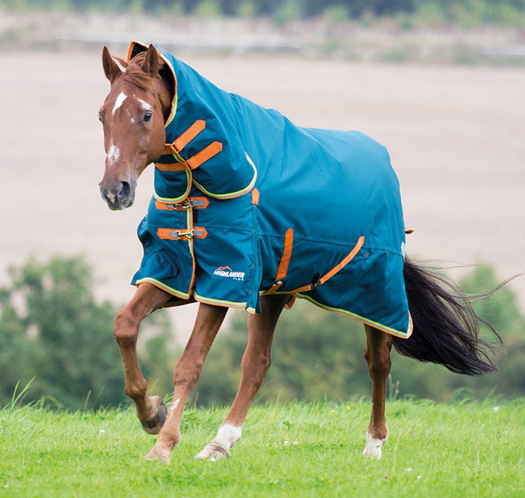 Winter Do’s And Don’ts How To Keep Your Horse Warm In Winter? Pet