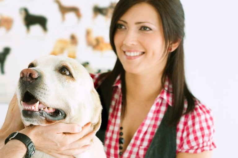 Tips And Tools For Home Dental Care For Dogs And Cats Pet Shops Guide