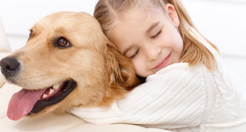 Know everything before you own a pet Pet Shops Guide Blog